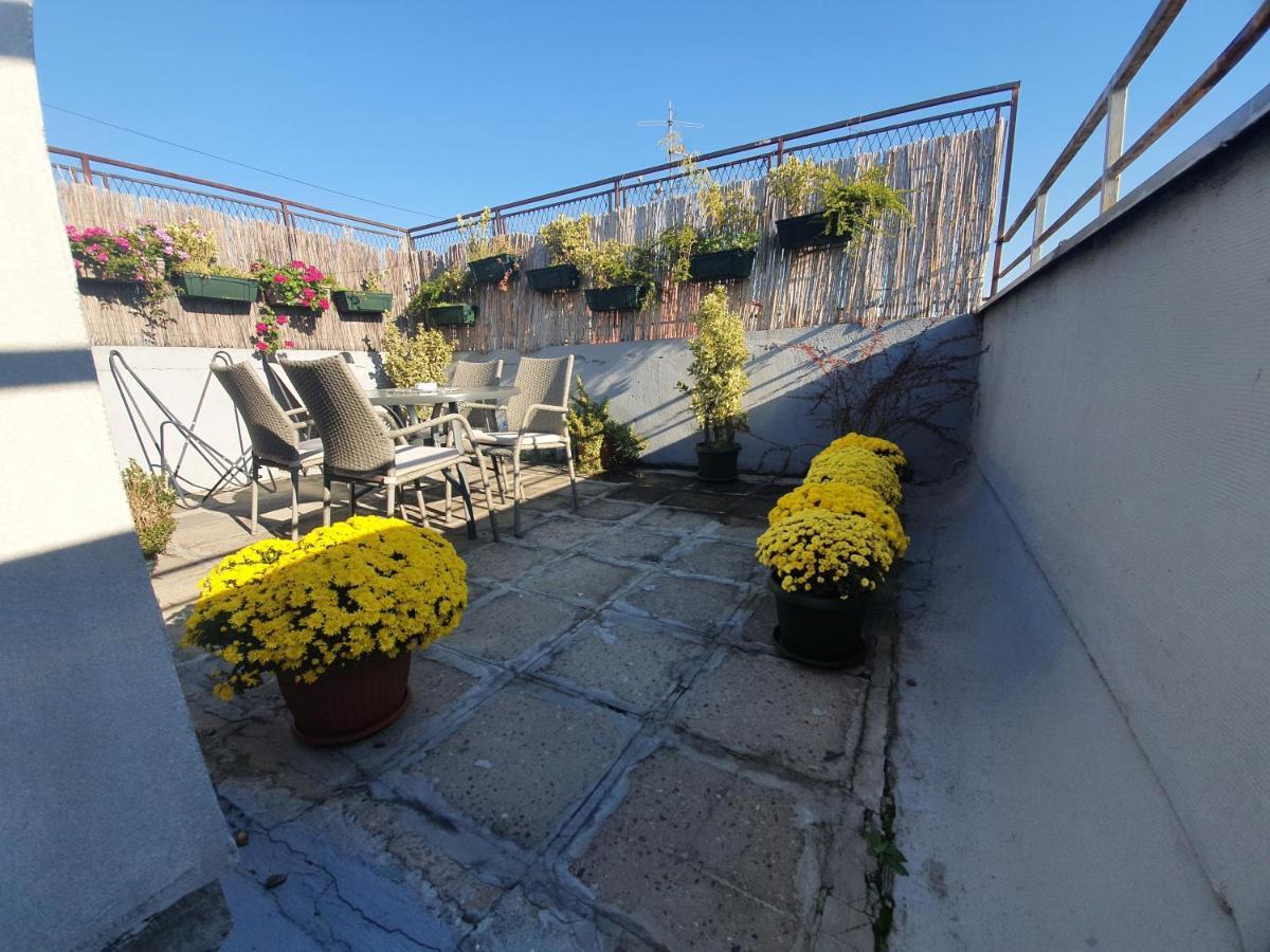 Apartment New Belgrade Home المظهر الخارجي الصورة